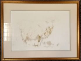 1990 watercolour painting of a sheep 'Watching' by Rebecca Jelbert - frame 56cm x 73.5cm