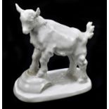 MEISSEN; a model of a lamb resting on a bowl, blue cross sword to the underside, height 14cm.Pin