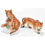 HEREND; two porcelain models comprising a stalking tiger, length 20cm, two tiger clubs playing,