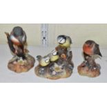 Three Royal Crown Derby bird figures, kingfisher, robin and blue tit and chicks.Some minor losses to