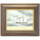 J. LEWIS JONES (British, 19th century); oil on card depicting 'Venus' top sail schooner, built 1880,