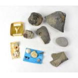 A small collection of fossils to include a belemnite, small piece of fossilised wood, an ammonite,