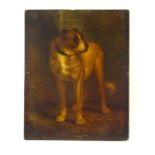 19TH CENTURY BRITISH SCHOOL; oil on board depicting a dog against a wall, unsigned, unmounted.30 x