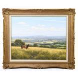 † DAVID MORGAN (born 1947); oil on canvas, horse in a field with landscape beyond, signed lower