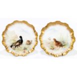 ROYAL DOULTON; a pair of shaped gilt heightened cabinet plates, each painted with game birds