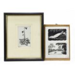 † CHARLES FREDERICK TUNNICLIFFE; ink drawing, 'Butterwort', 11.5 x 7cm, framed and glazed with two