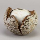 † ALAN WALLWORK (1931-2019); a stoneware and porcelain seed pod form, incised AW mark, diameter 10.