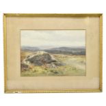 CHARLES E BRITTAN (1870-1949); watercolour, sheep in landscape scene, signed, 24.5 x 34cm, framed