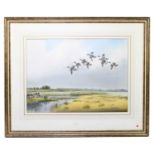 † ROBERT W MILLIKEN; watercolour, 'Pintails after the Rain', signed lower right, 50 x 37cm, framed