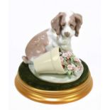 LLADRO; a Collectors' Society model of a dog, 'It wasn't me', height 10cm, with a circular base.