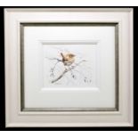 † AMANDA GORDON; watercolour, 'Tiny Winter Wren', signed lower left, 26 x 21cm, framed and glazed.