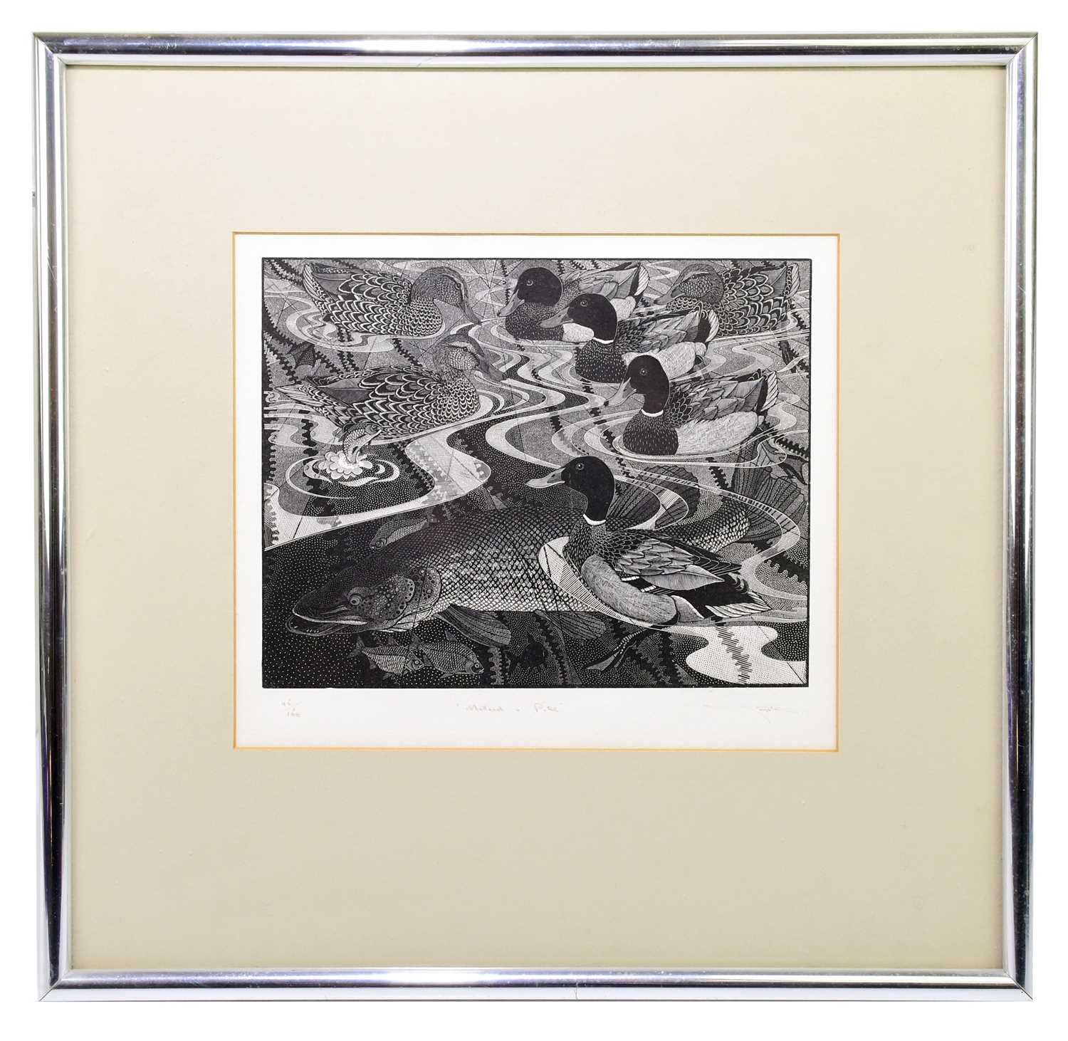 † COLIN SEE-PAYNTON (born 1946); limited edition black and white print, 'Mallard & Pike', titled,