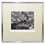 † COLIN SEE-PAYNTON (born 1946); limited edition black and white print, 'Mallard & Pike', titled,