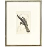 CHARLES FREDERICK TUNNICLIFFE OBE, RA (1901-1979); wood engraving, 'Windhover Hunting', signed lower