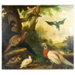 FOLLOWER OF MARMADUKE CRADOCK; oil on canvas, various birds in a landscape, unsigned, 80 x 90cm,