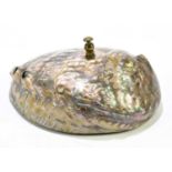 A unusual novelty desk bell as an abalone shell, length 15cm.