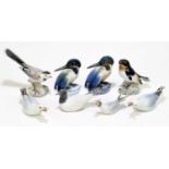ROYAL COPENHAGEN; eight models of birds to include seagulls, kingfishers, etc (8).Condition