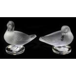 LALIQUE FRANCE; two frosted glass models of ducks, length of largest example 13cm (2)Condition