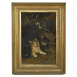 EARLY 20TH CENTURY ENGLISH SCHOOL; oil on canvas, three cats in a basket, unsigned, 35cm x 23cm,