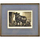 CHARLES FREDERICK TUNNICLIFFE OBE, RA (1901-1979); etching, 'The Black Angus', signed lower right,