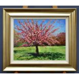 † TIMMY MALLETT; oil on board, 'Cherry Blossom 4', unsigned, 50 x 40cm, framed.