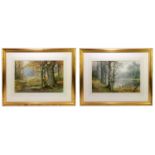 THOMAS TAYLOR IRELAND (act 1880-1927); pair of watercolours, woodland scenes, signed, 33 x 51cm,