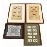 HARRISON & CO; two 18th century hand coloured plates, one of mammals, the other of fish and birds,