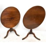 Two circular oak tilt top tripod tables, height of largest 72cm, diameter 81cm.