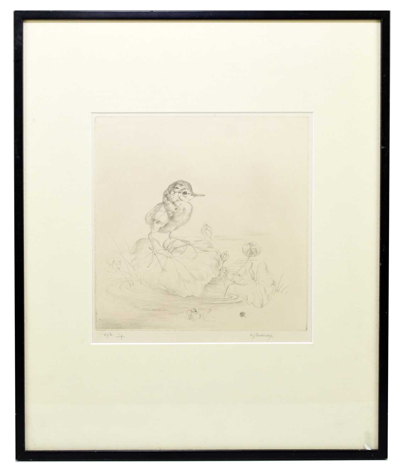 EDWARD JULIUS DETMOLD (1883-1957); etching, Lilytrotter, signed and initialled in pencil, 24.5 x