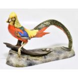 ROYAL CROWN DERBY; a very large cased porcelain figure of a golden pheasent modelled by Townsend,