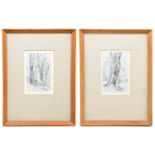MANNER OF JOHN WHITE ABBOT (1763-1851); pair of pencil sketches, studies of trees, each with a label