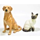 BESWICK; a model of a seated Labrador, model number 2314, height 34cm, together with a Beswick model