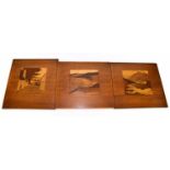 Three marquetry panels, to include 'Ben Lomond', 'Robin Hood Bay' and 'Farmyard', largest 38 x