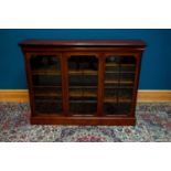 An early 20th century mahogany three door bookcase, the three glazed doors enclosing adjustable