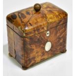 A George III tortoiseshell tea caddy of shaped square form, the hinged cover enclosing two