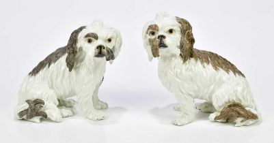 A pair of late 19th century Continental Meissen style models of dogs, height 15cm, length 12cm.