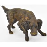 A 19th century cold painted bronze figure of a setter, unmarked, height 10cm, length 20cm.