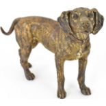 A 19th century cold painted bronze figure of a dog, unmarked, height 10.5cm, length 16cm.
