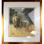 SIMON COMBES; a limited edition colour print depicting a lion in jungle setting, no.622/750,