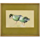 An early 20th century watercolour depicting two ducks, signed in pencil lower right and dated (19)