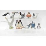 ROYAL COPENHAGEN; seven models of birds to include penguin, seagulls, budgie, ducks and baby