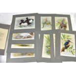 BASIL EDE; a collection of limited pencil signed and gallery stamped prints from the Game Birds