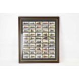 A framed display of Wills train themed cigarette cards.