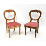 Two pairs of Victorian balloon back dining chairs, all upholstered with pink velour drop-in seats (