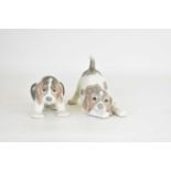 LLADRÓ; two porcelain figures of puppies, one with lowered head, height of largest 11cm, length 15cm