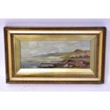LATE 19TH CENTURY ENGLISH SCHOOL; oil on canvas, coastal landscape with figures on clifftop,