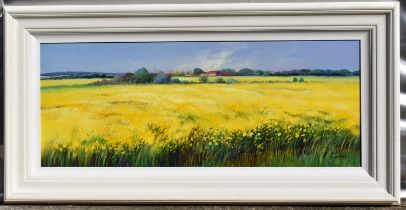 † MIGUEL TORRES (Spanish, born 1948); oil on canvas, field of yellow with farmstead in the distance,