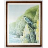 DAVID PARRY; an artist's proof print of a Peregrine Falcon on a rocky outcrop, signed in pencil to