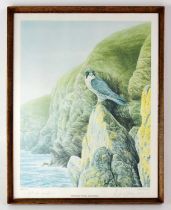 DAVID PARRY; an artist's proof print of a Peregrine Falcon on a rocky outcrop, signed in pencil to