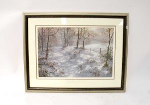 DAVID DIPNALL; limited edition print, 'Where Bluebells Grow', signed lower right, no.105/295,